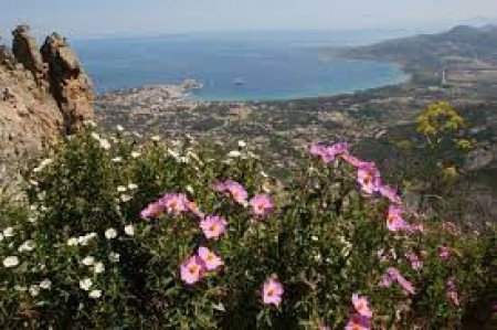Immer wieder Korsika